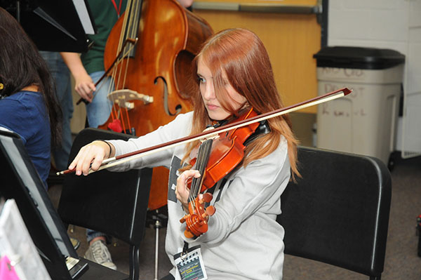 Chamber Orchestra Ranks 30th in State 