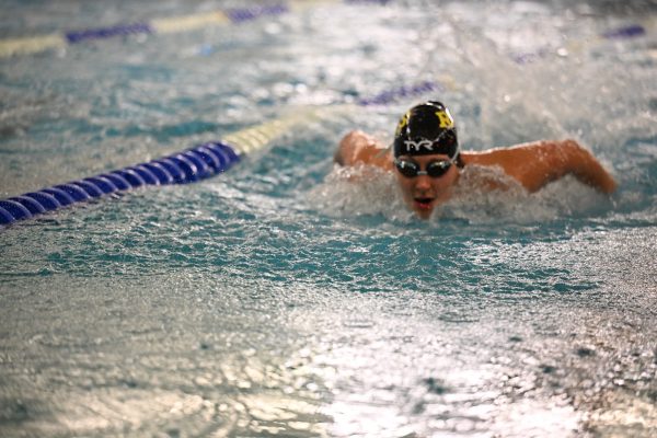 Senior Claire Morrison swims at the Sunnyvale Meet. Morrison signed to Augustana College for water polo on National Signing Day, November 12th, at the Mac. "I'm super excited to play water polo," Morrison said. "I'm just excited to play that collegiate level sport and continue on." Talon photo by Henry Fair Photo credit: Henry Fair